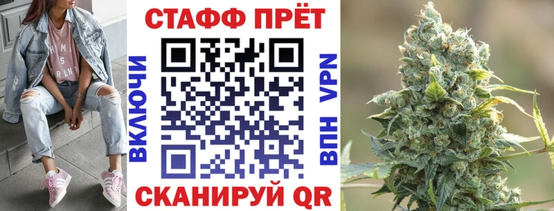 Где можно купить наркотики Жуковский Псилоцибиновые грибы  APVP  ТГК  Кокаин  МАРИХУАНА  Меф 
