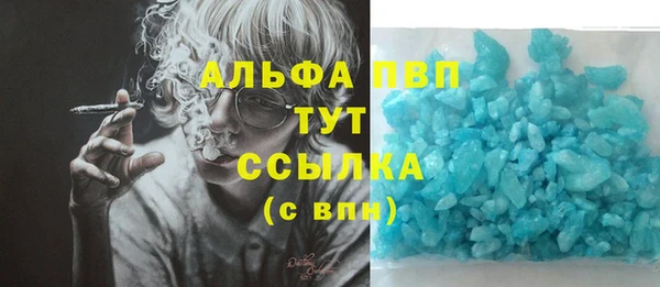 мяу мяу мука Елабуга