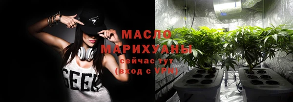 дживик Ельня