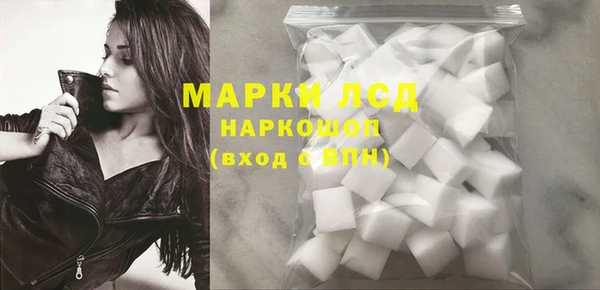 дживик Ельня