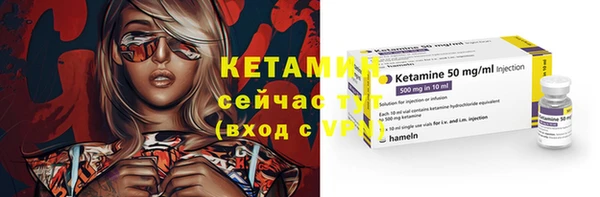 дживик Ельня