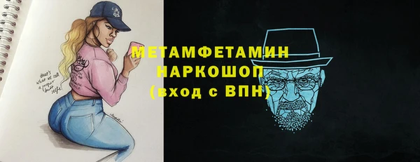 дживик Ельня