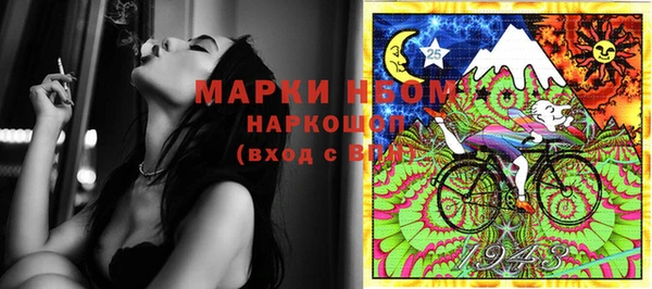 дживик Ельня