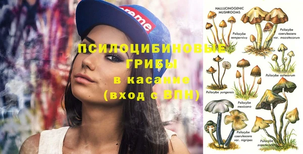 mdma Елизово