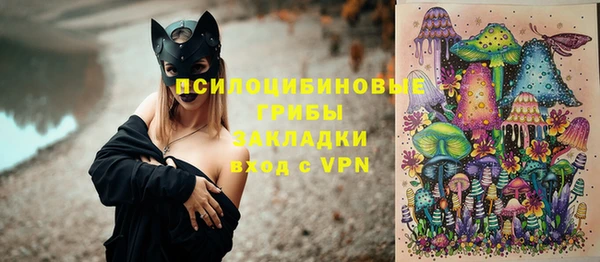 мяу мяу мука Елабуга
