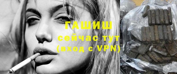 дживик Ельня