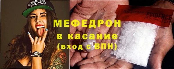 дживик Ельня