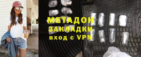 дживик Ельня